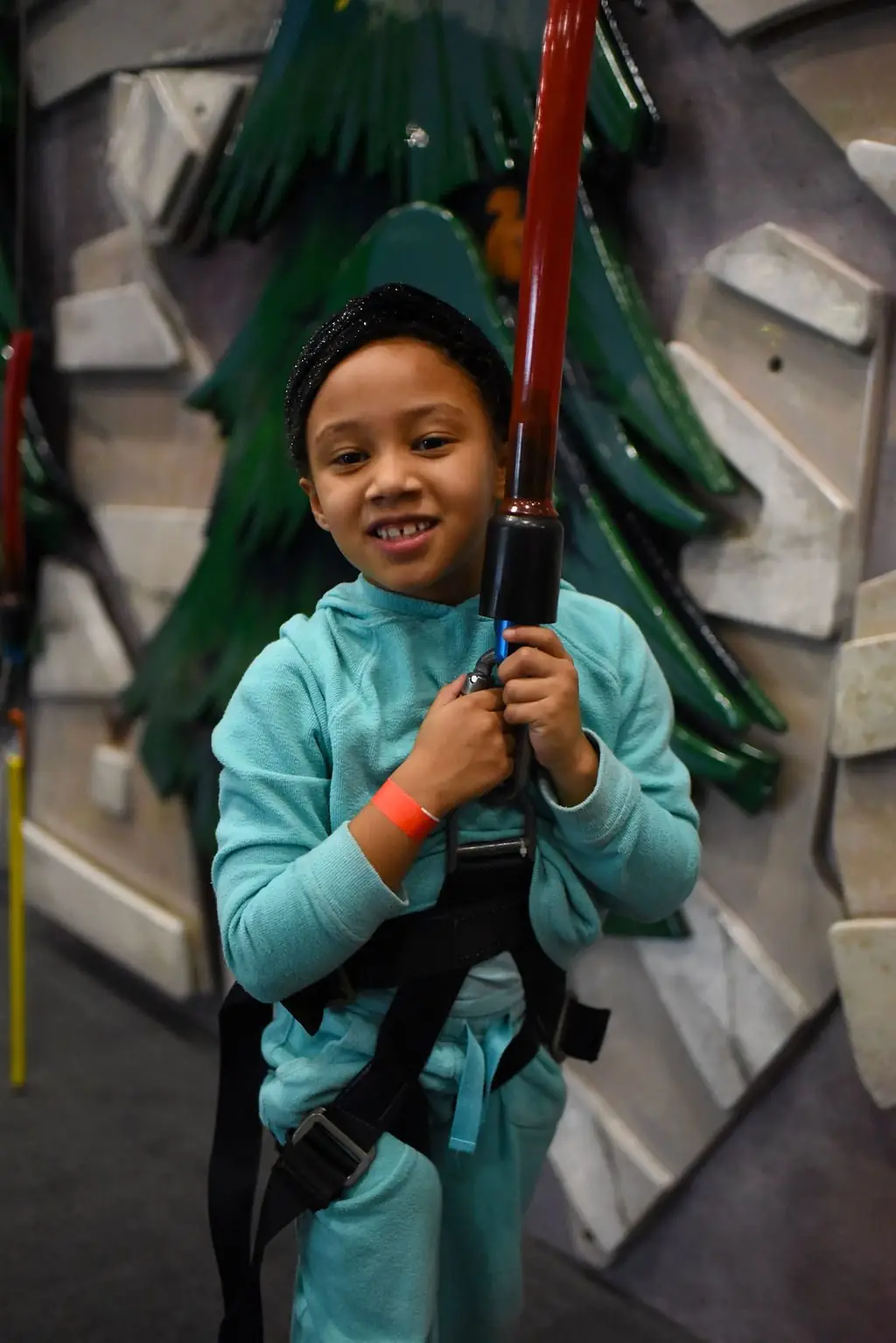 36 Themed Climbing Walls